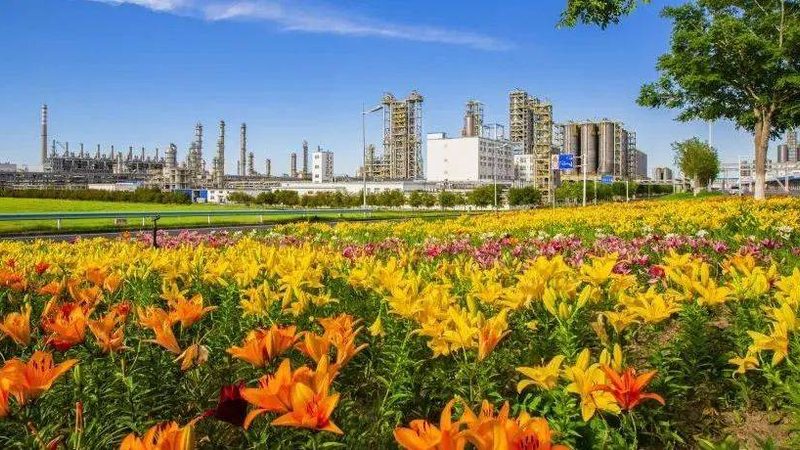 黑色母粒代加工，这些隐性门槛比价格更关键