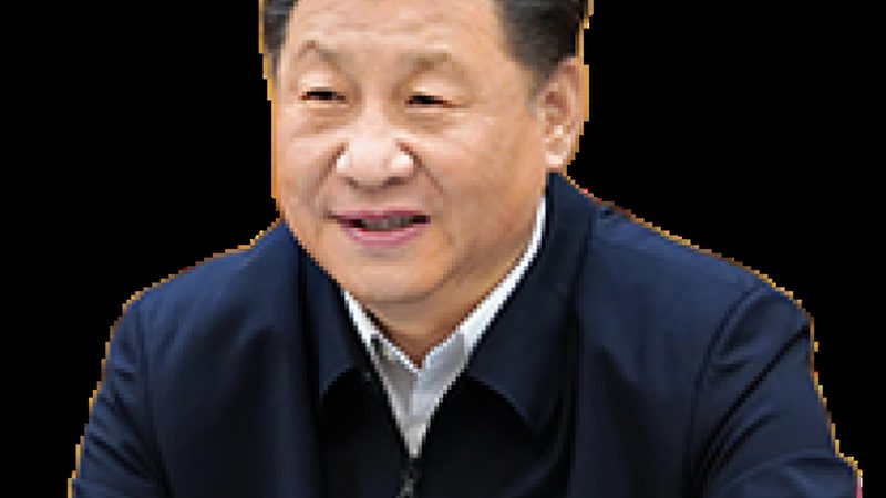工业级化工原料：参数与价格关系的深度解析**